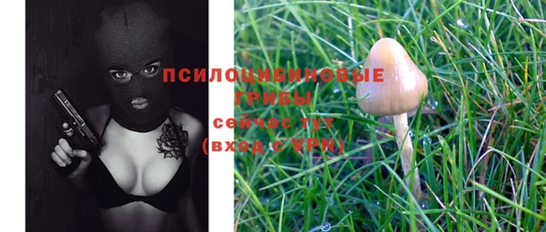 гашиш Белокуриха